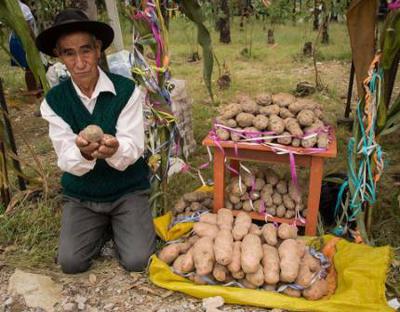A Bolivian with his potatoes