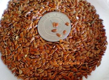 Bolivian food recipes drinks beverages linaza Bolivian food recipes drinks beverages linaza