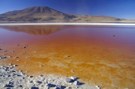 See more pictures in our Salar de Uyuni photo gallery Salar de Uyuni Bolivia Laguna Colorada