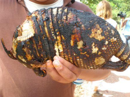 Ever eat roast armadillo? It's delicious! Ever eat roast armadillo? It's delicious!