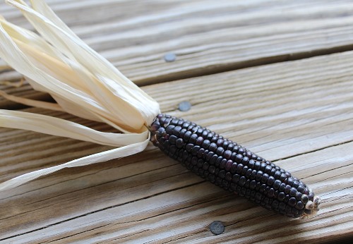Bolivian Food Recipes: Purple Corn