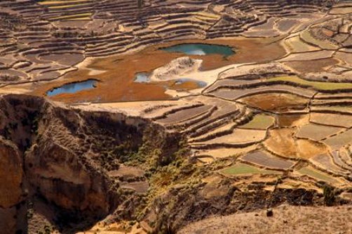 bolivia history incas terraces agriculture history history history