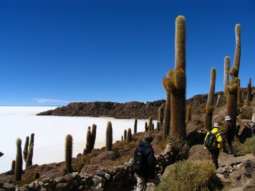 Salar de Uyuni Bolivia Salt Flats
