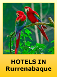 Hotels in Rurrenabaque Bolivia