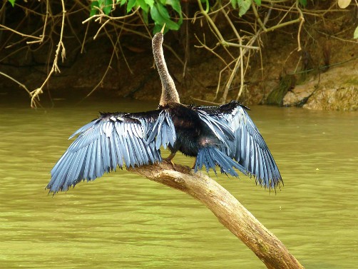 Hotels in Rurrenabaque, Bolivia