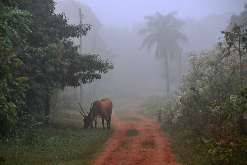 Accommodations and where to stay in and around San Rafael, Bolivia