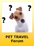 Ask or Post Information about Travel with Pets to Bolivia