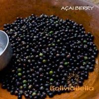 Acai Berry