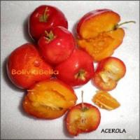 bolivian food fruit acerola