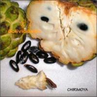 bolivian food fruit chirimoya