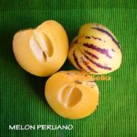 bolivia food fruit melon peruano