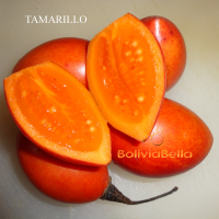 bolivia food fruit tamarillo