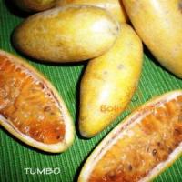 bolivian food fruit tumbo