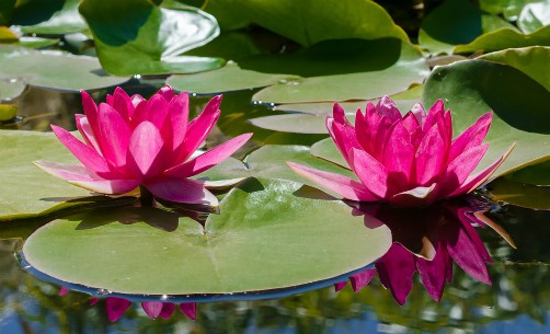 parks and gardens santa cruz bolivia