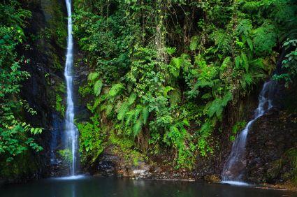 There are many beautiful waterfalls near Coroico.