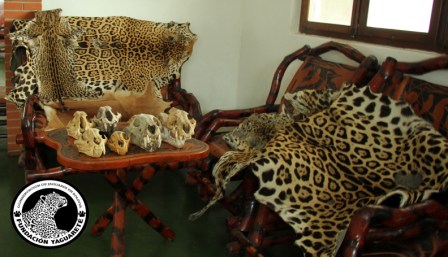 Fundación Yaguareté: Jaguar Conservation in Bolivia