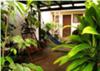 Second patio with hammock