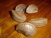 Brazil nut seeds