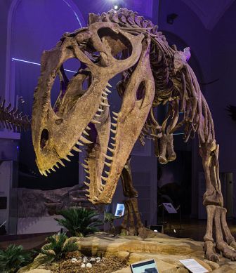 The Giganotosaurus