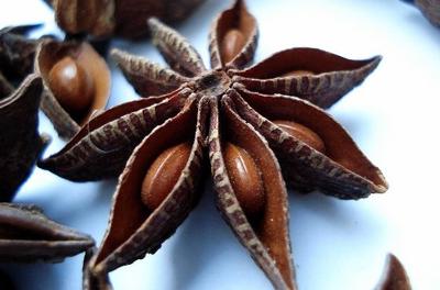 Star Anise