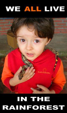 bolivia for kids rainforest boa 