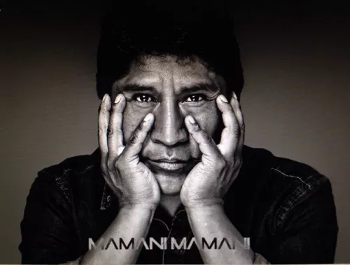 Bolivian Artist Roberto Mamani Mamani