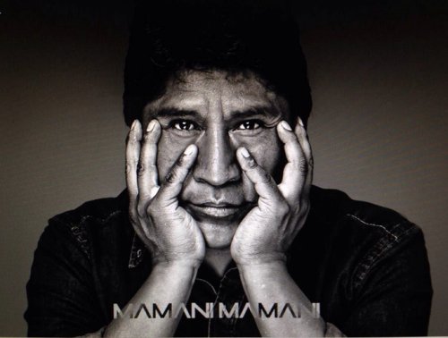 Bolivian Artist Roberto Mamani Mamani