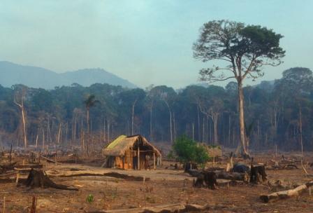 bolivia geography deforestation 