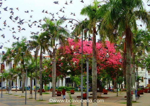 Plaza 24 de Septiembre, Santa Cruz, Bolivia, Basilica de San Lorenzo