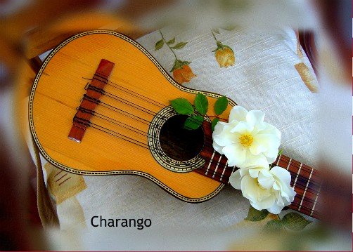 Traditional Music of Bolivia's Central and Southern Valleys