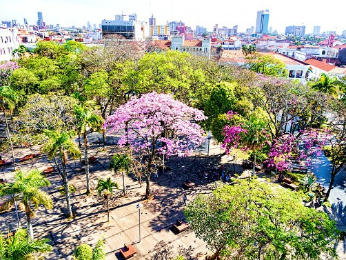 Hotels in Santa Cruz de la Sierra Bolivia