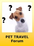 Ask or Post Information about Travel with Pets to Bolivia