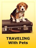 Traveling to and in Bolivia with Pets