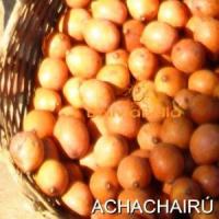 bolivian food fruit achachairú