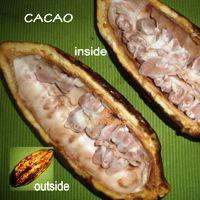 bolivian food bolivian fruit cacao