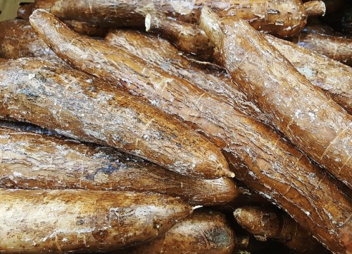 Fry the yuca sticks in very hot oil.