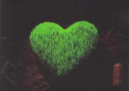 Greenhearts Project