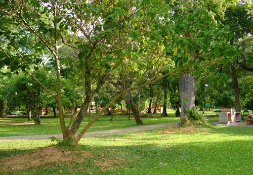 Parque Autonómico, Santa Cruz, Bolivia