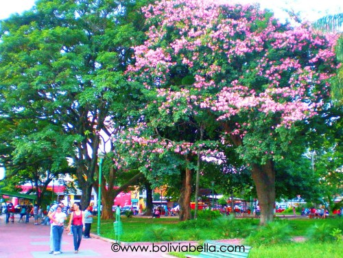 Plazuela Blacutt, Santa Cruz de la Sierra, Bolivia