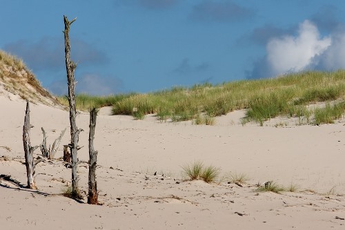 The Lomas de Arena sand dunes in Santa Cruz, Bolivia