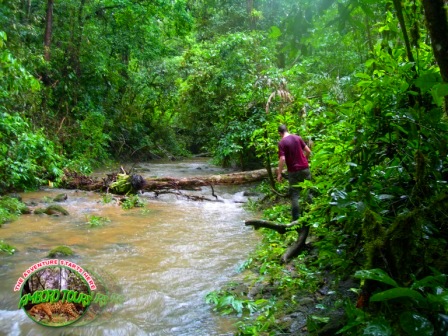 Parque Nacional Amboro Parque Nacional Amboro