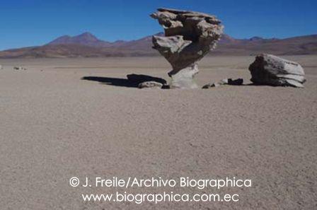 Arbol de piedra (stone tree) Potosí, Bolivia