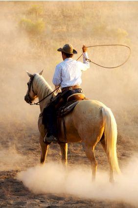 Tour the Chaco - Tourist Attractions in Bolivia - Photo: istockphoto.com