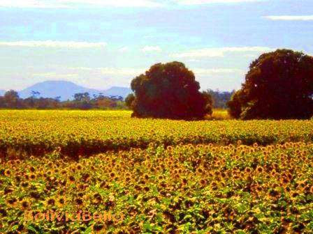 Turismo Rural en Santa Cruz, Bolivia