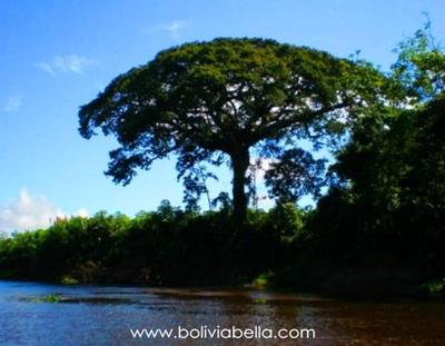 The Ibare River in Beni