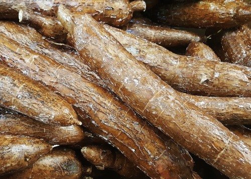 Bolivian Food and Recipes - Yucca Root