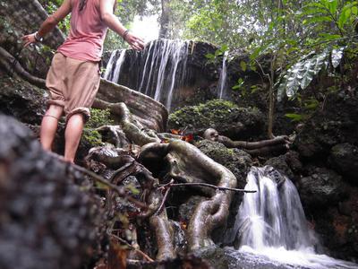 yo disfrutando de la selva de India