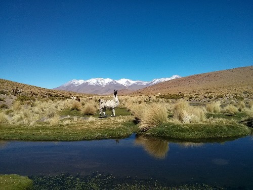 Climate and Weather in the Highlands of Bolivia