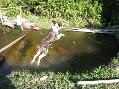 Playing in the creek