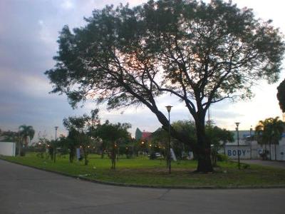 Plaza on the corner and Body Company gym